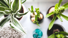 Grow Your Blog Community